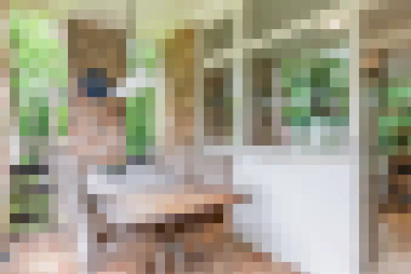 Kennedylaan 2 Sterksel thumbnail 36