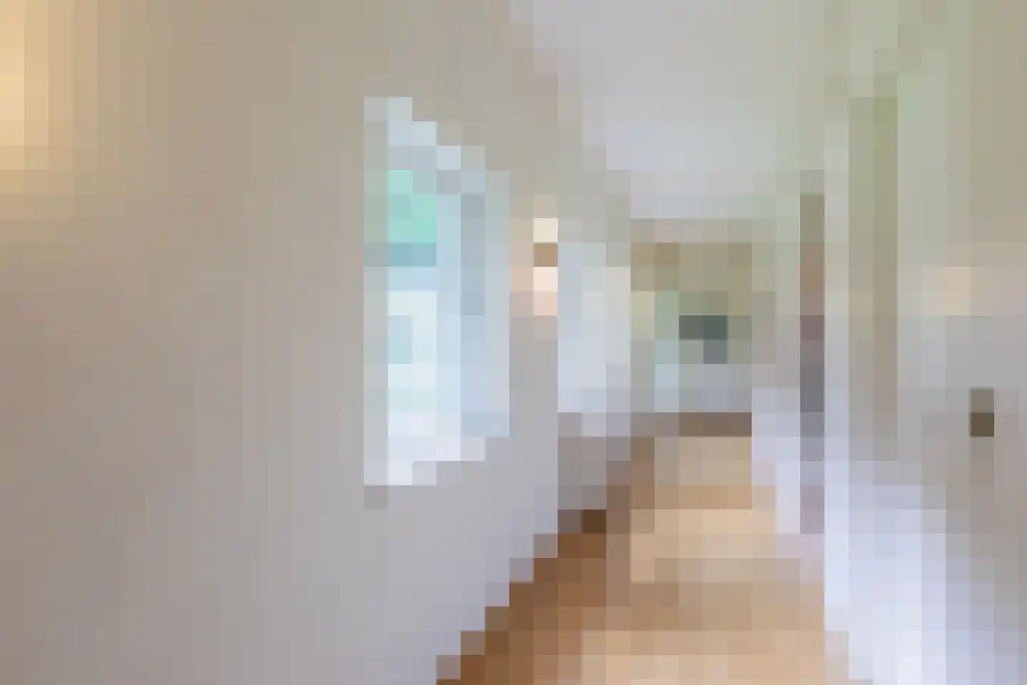 Kennedylaan 2 Sterksel thumbnail 46