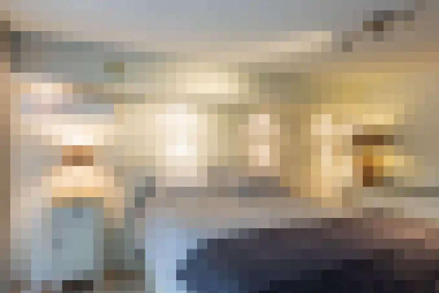 Kennedylaan 2 Sterksel thumbnail 69