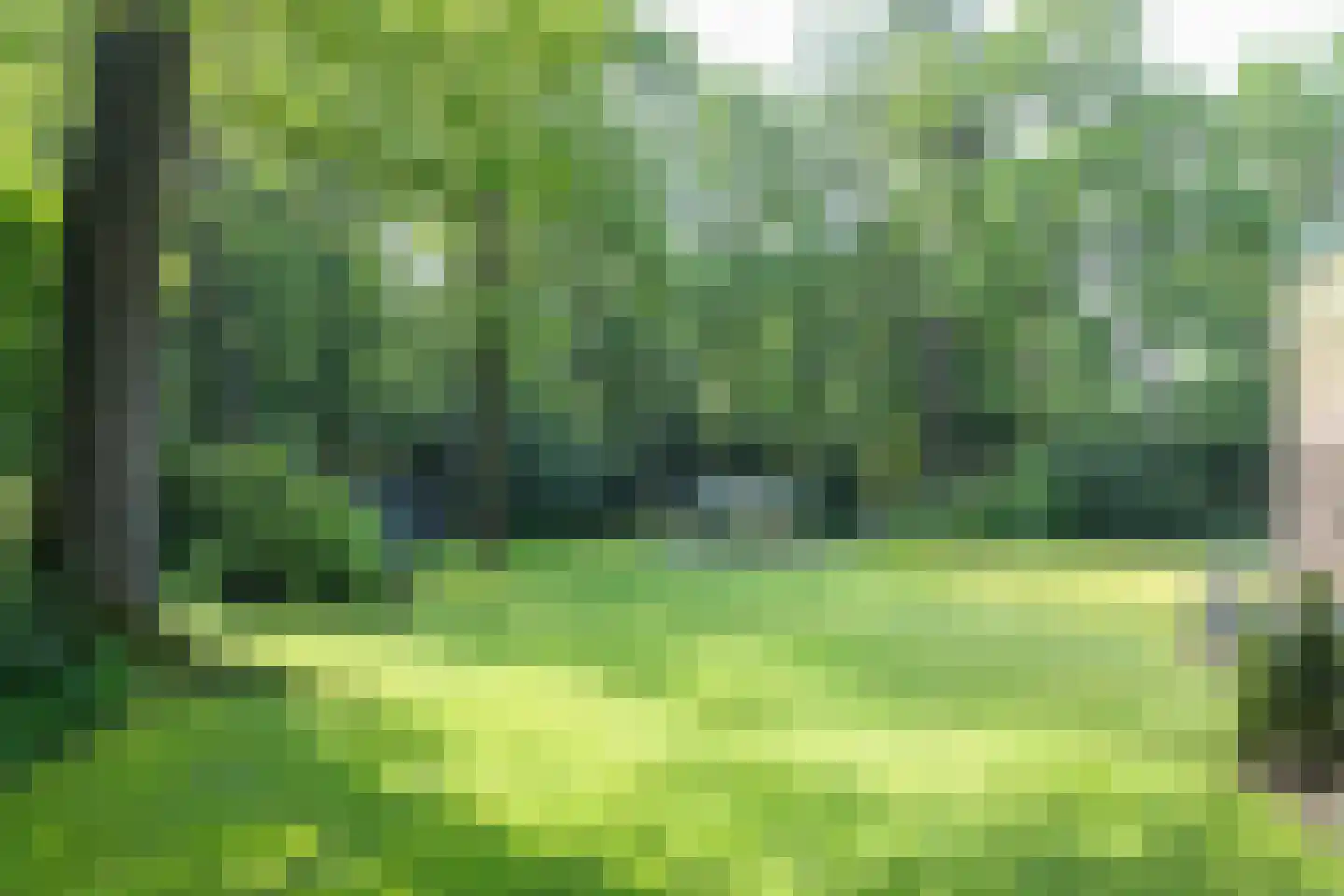 Kennedylaan 2 Sterksel thumbnail 80