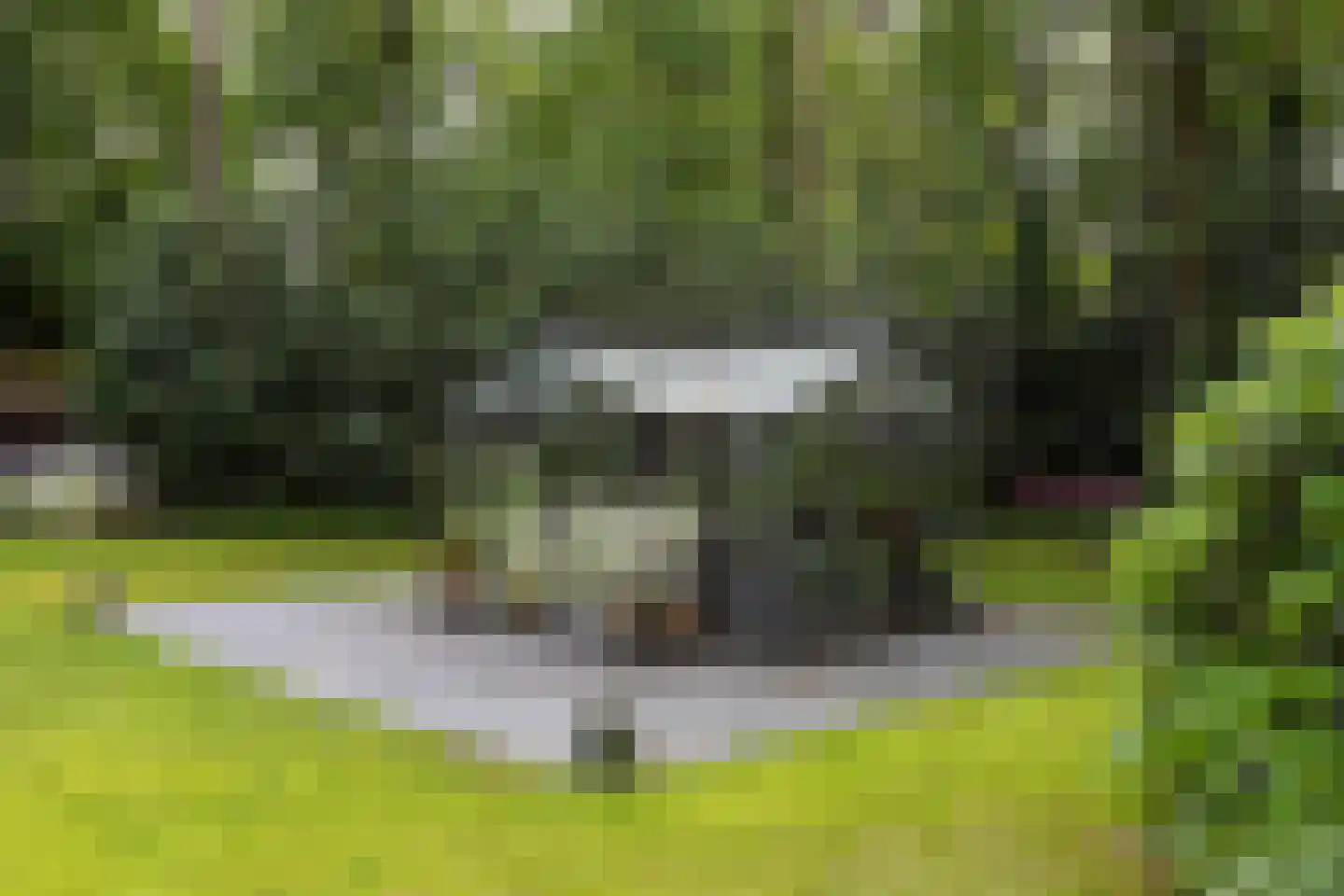 Kennedylaan 2 Sterksel thumbnail 82