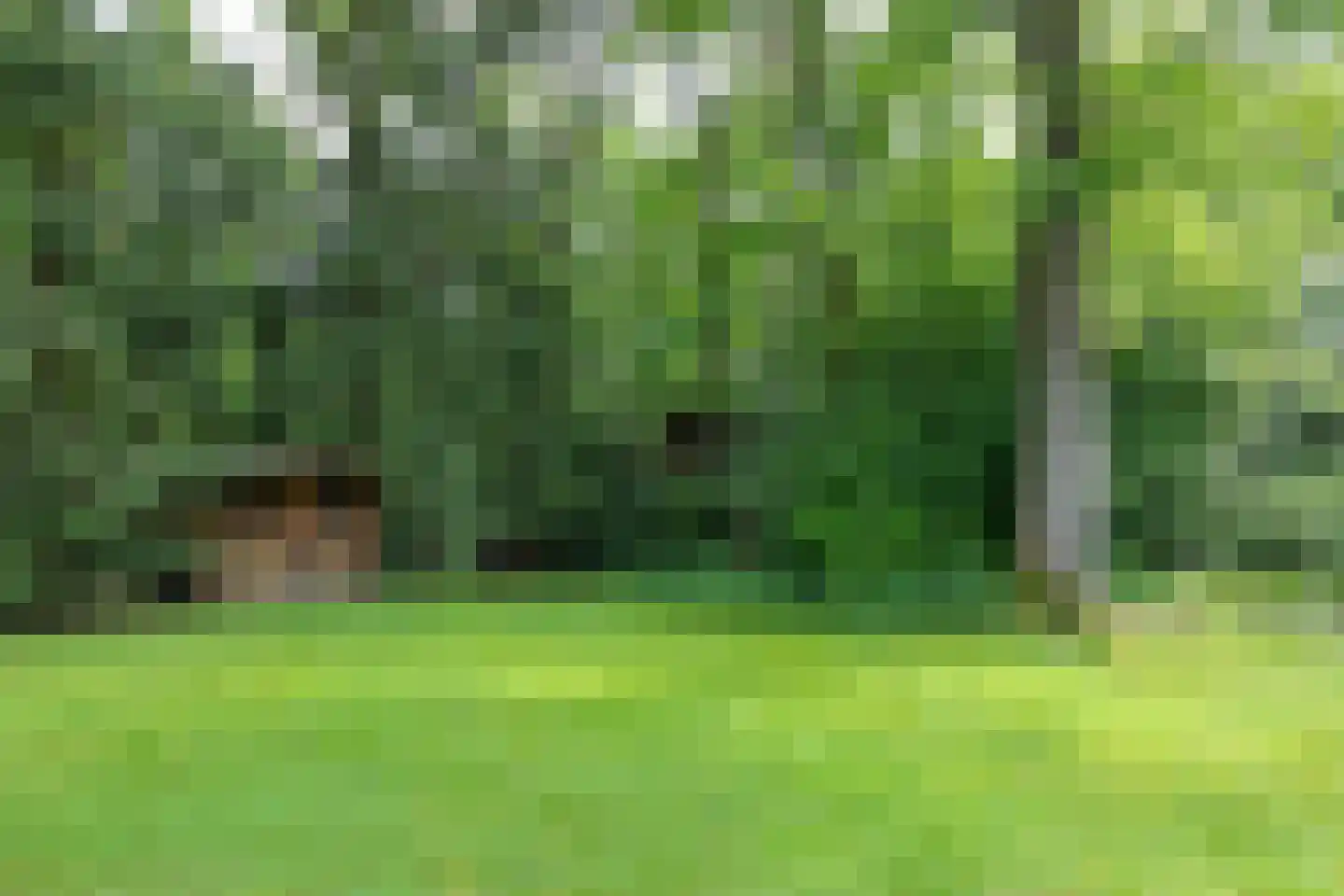 Kennedylaan 2 Sterksel thumbnail 88