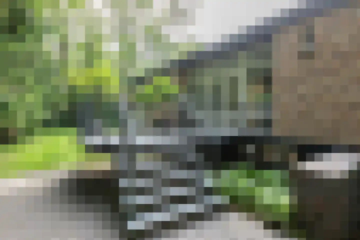 Kennedylaan 2 Sterksel thumbnail 9