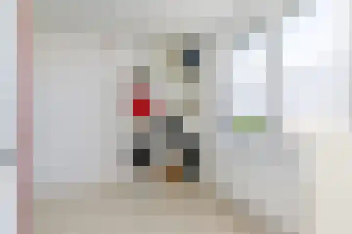 Kennedylaan 22 Brunssum thumbnail 22
