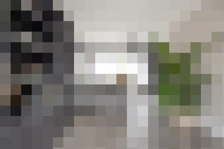 Kennedylaan 22 Meijel thumbnail 14