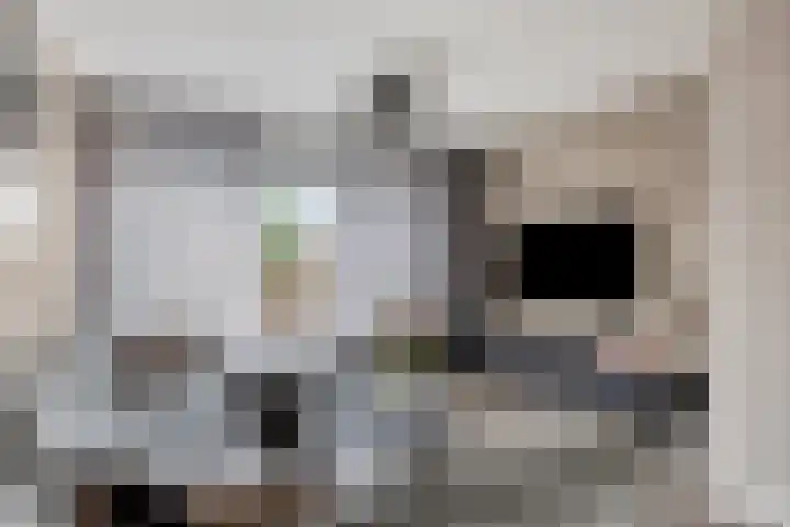 Kennedylaan 22 Meijel thumbnail 15