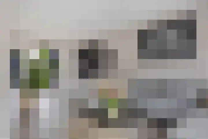 Kennedylaan 22 Meijel thumbnail 16