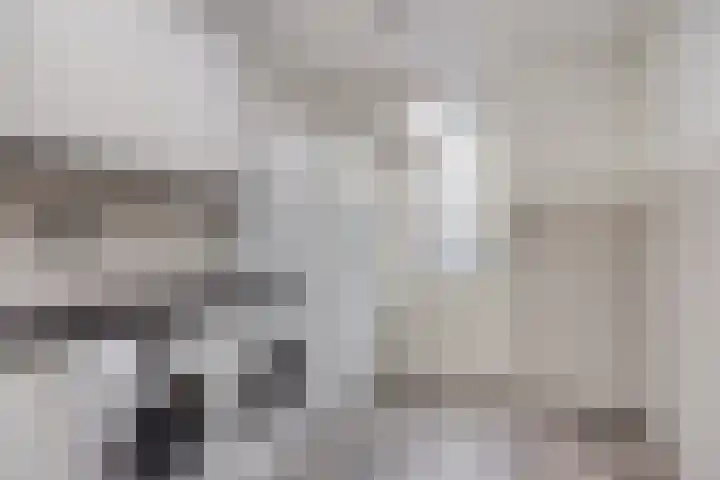 Kennedylaan 22 Meijel thumbnail 19