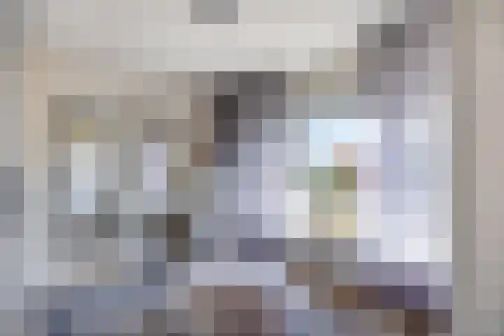 Kennedylaan 22 Meijel thumbnail 24