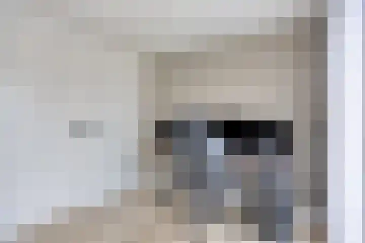 Kennedylaan 22 Meijel thumbnail 26