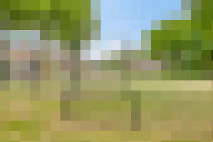 Kennedylaan 22 Meijel thumbnail 39