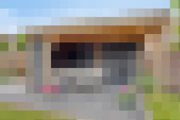 Kennedylaan 22 Meijel thumbnail 4