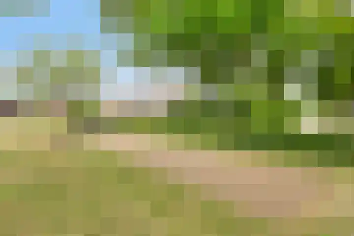 Kennedylaan 22 Meijel thumbnail 40
