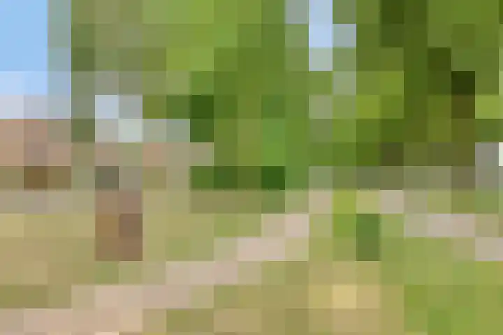 Kennedylaan 22 Meijel thumbnail 42