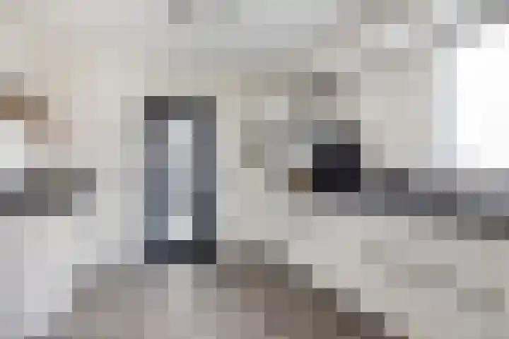 Kennedylaan 22 Meijel thumbnail 6