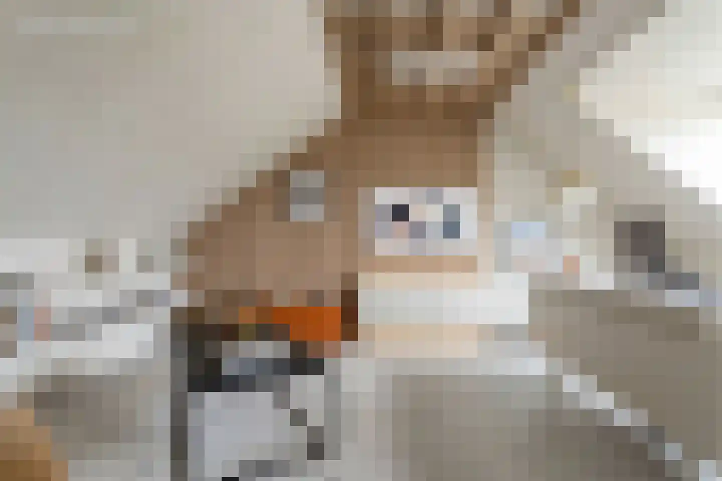 Kennedylaan 23 Maarssen thumbnail 21