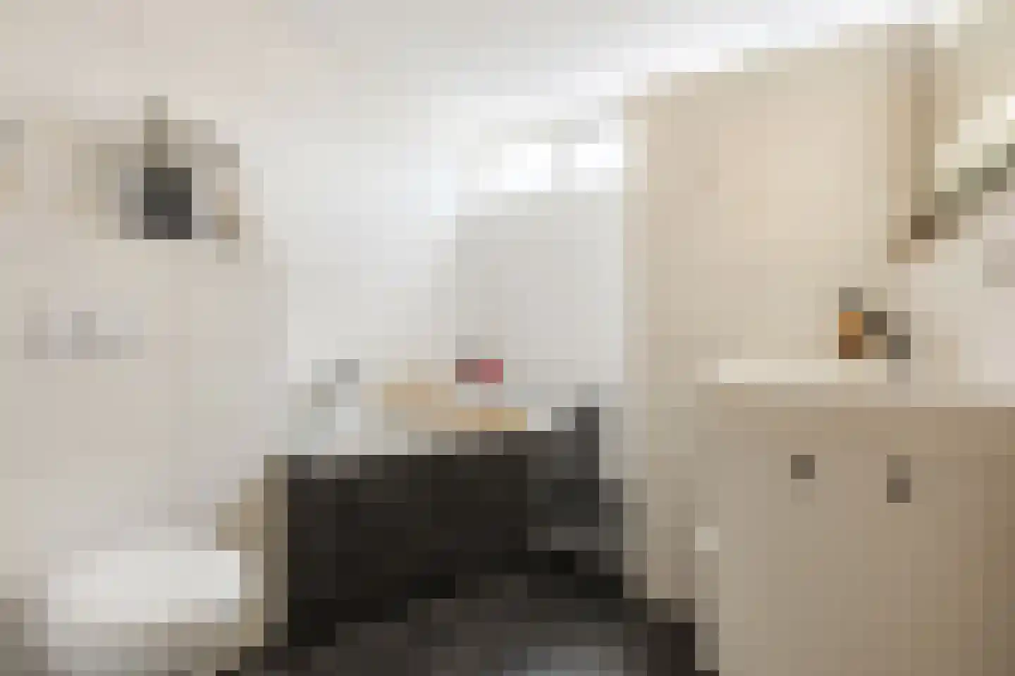 Kennedylaan 26 Andel thumbnail 19