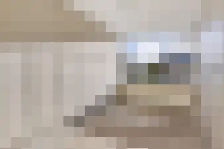 Kennedylaan 28 Andel thumbnail 10