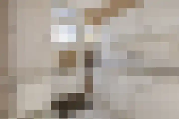 Kennedylaan 28 Andel thumbnail 12
