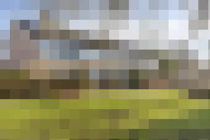 Kennedylaan 28 Andel thumbnail 30