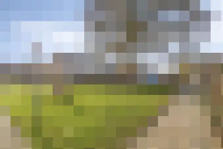 Kennedylaan 28 Andel thumbnail 31