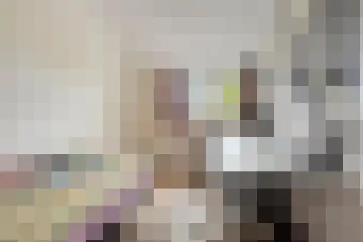 Kennedylaan 3 Rosmalen thumbnail 30