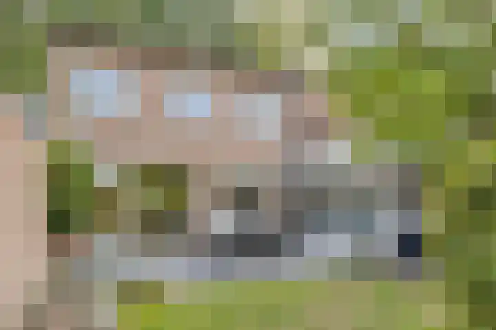 Kennedylaan 3 Rosmalen thumbnail 36