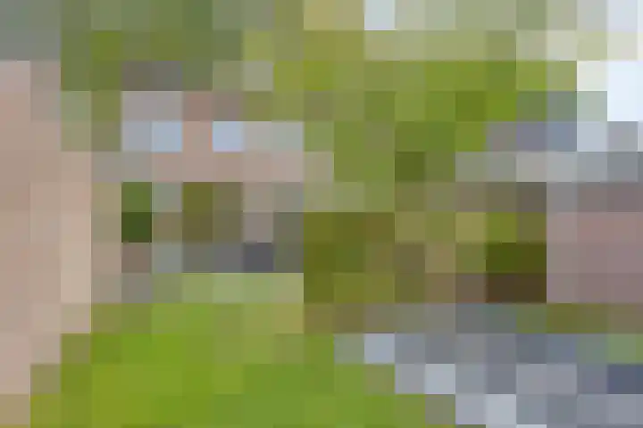 Kennedylaan 3 Rosmalen thumbnail 37