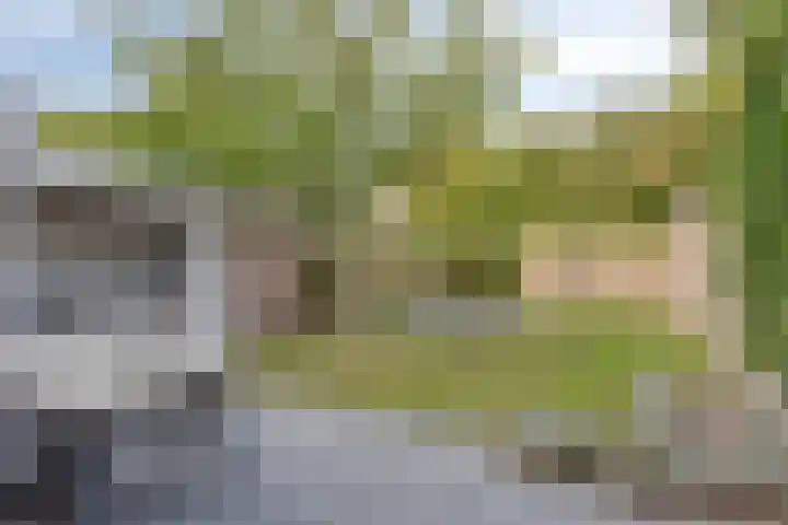 Kennedylaan 3 Rosmalen thumbnail 38
