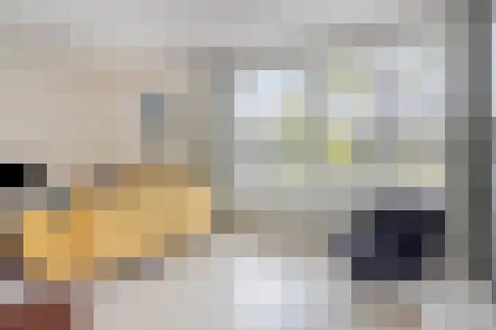 Kennedylaan 3 Rosmalen thumbnail 4