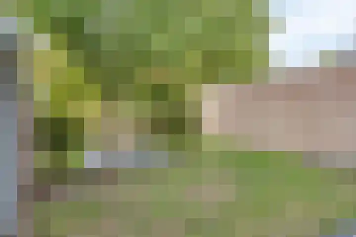 Kennedylaan 3 Rosmalen thumbnail 40