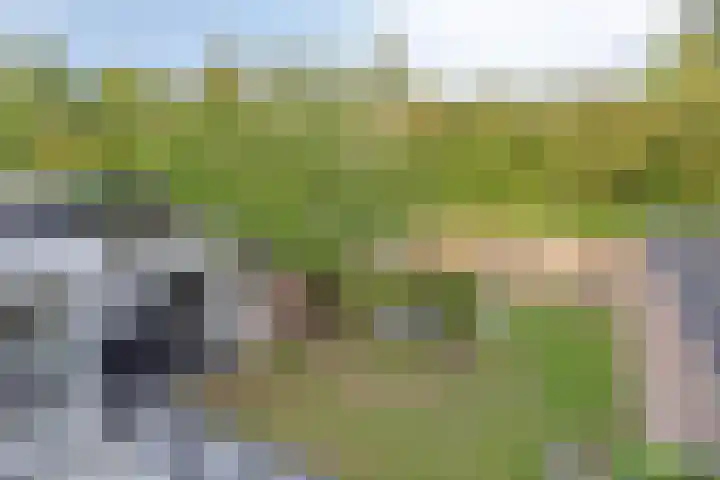 Kennedylaan 3 Rosmalen thumbnail 41