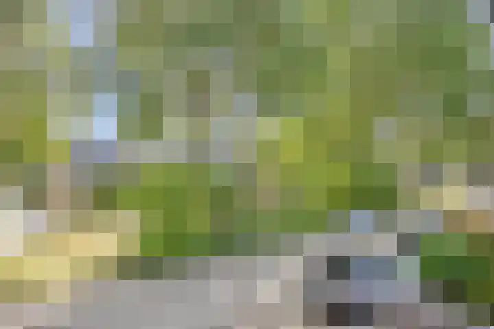 Kennedylaan 3 Rosmalen thumbnail 42
