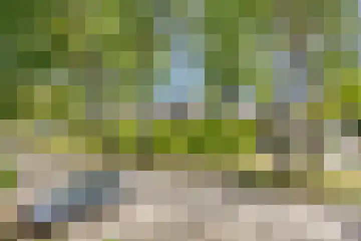 Kennedylaan 3 Rosmalen thumbnail 43