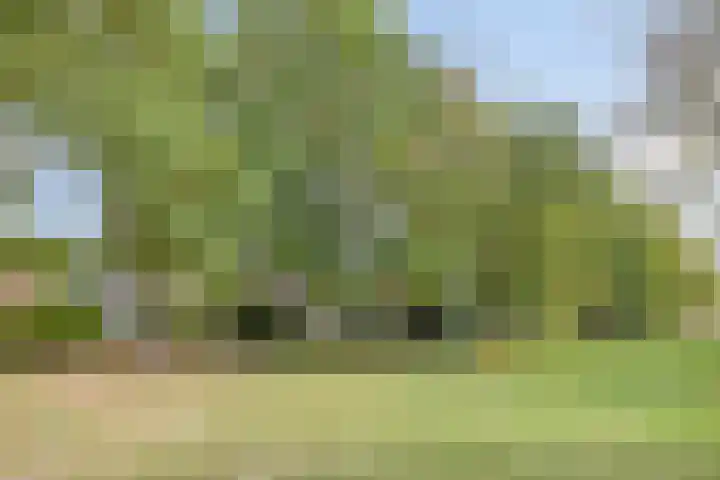 Kennedylaan 3 Rosmalen thumbnail 45