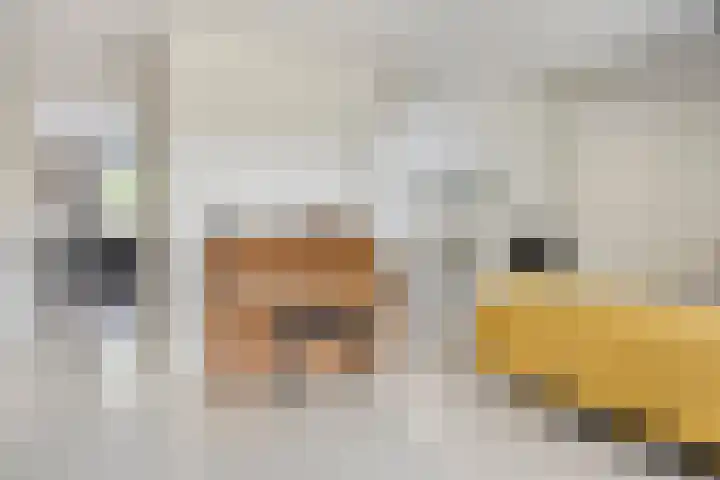 Kennedylaan 3 Rosmalen thumbnail 5