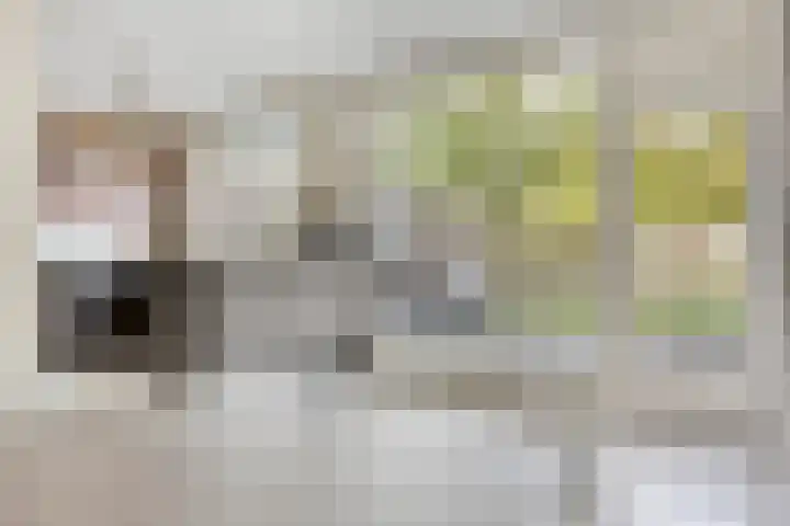 Kennedylaan 3 Rosmalen thumbnail 8