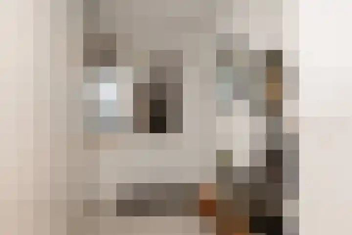 Kennedylaan 37 Bergeijk thumbnail 14