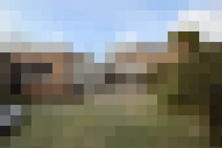 Kennedylaan 37 Bergeijk thumbnail 37