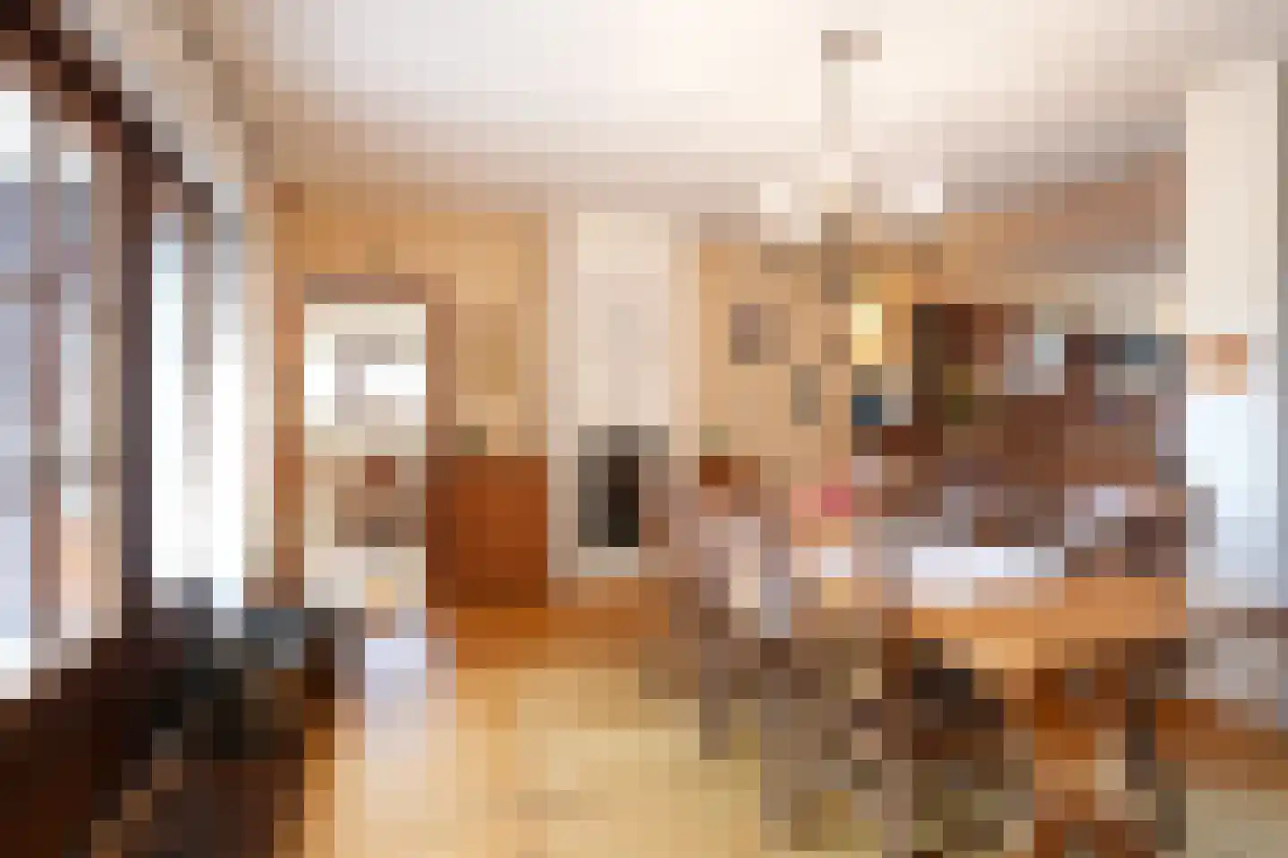 Kennedylaan 39 Eijsden thumbnail 13