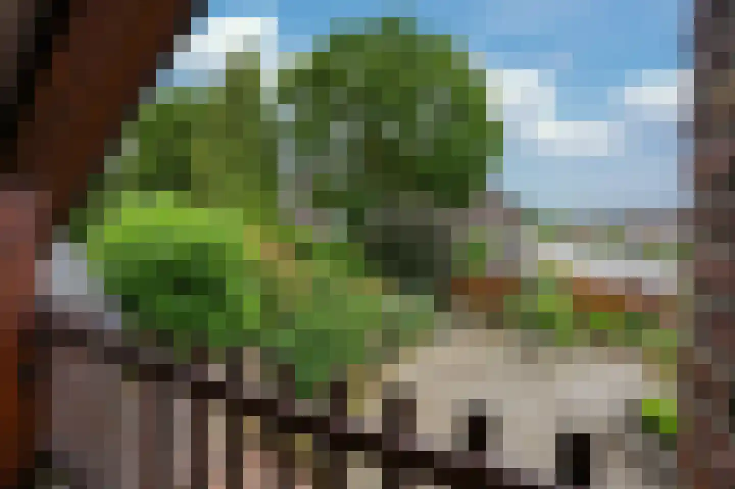 Kennedylaan 39 Eijsden thumbnail 31