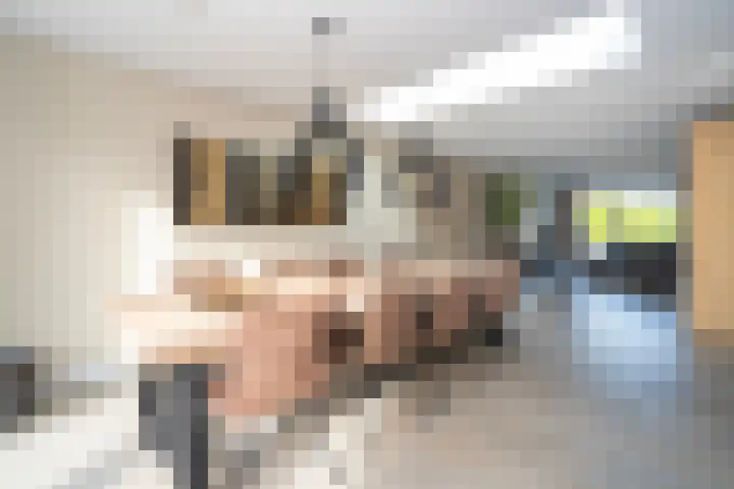 Kennedylaan 39 Goirle thumbnail 24