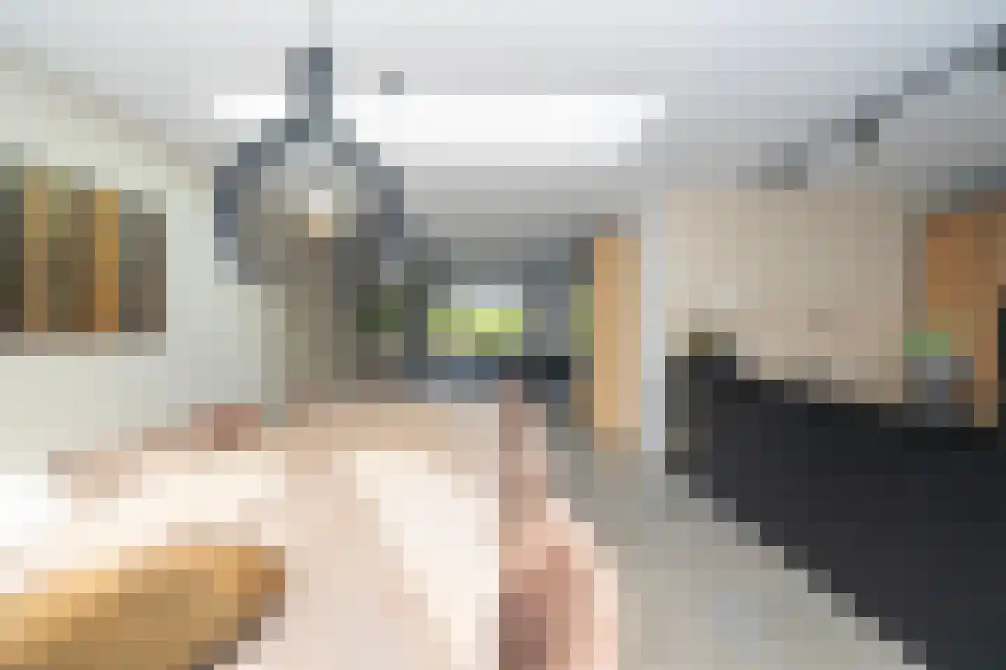 Kennedylaan 39 Goirle thumbnail 26
