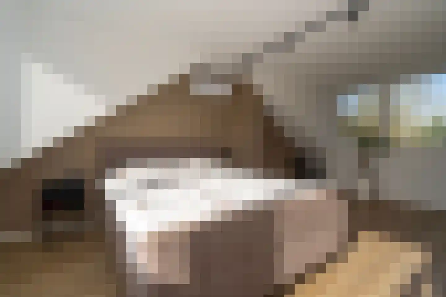 Kennedylaan 39 Goirle thumbnail 63