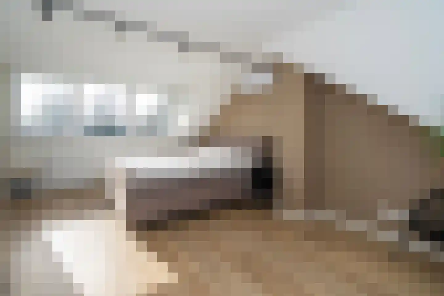 Kennedylaan 39 Goirle thumbnail 66
