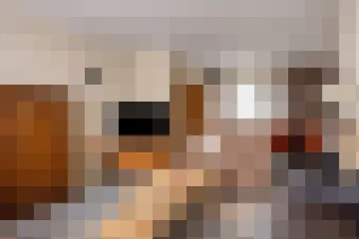 Kennedylaan 4 Oirschot thumbnail 10
