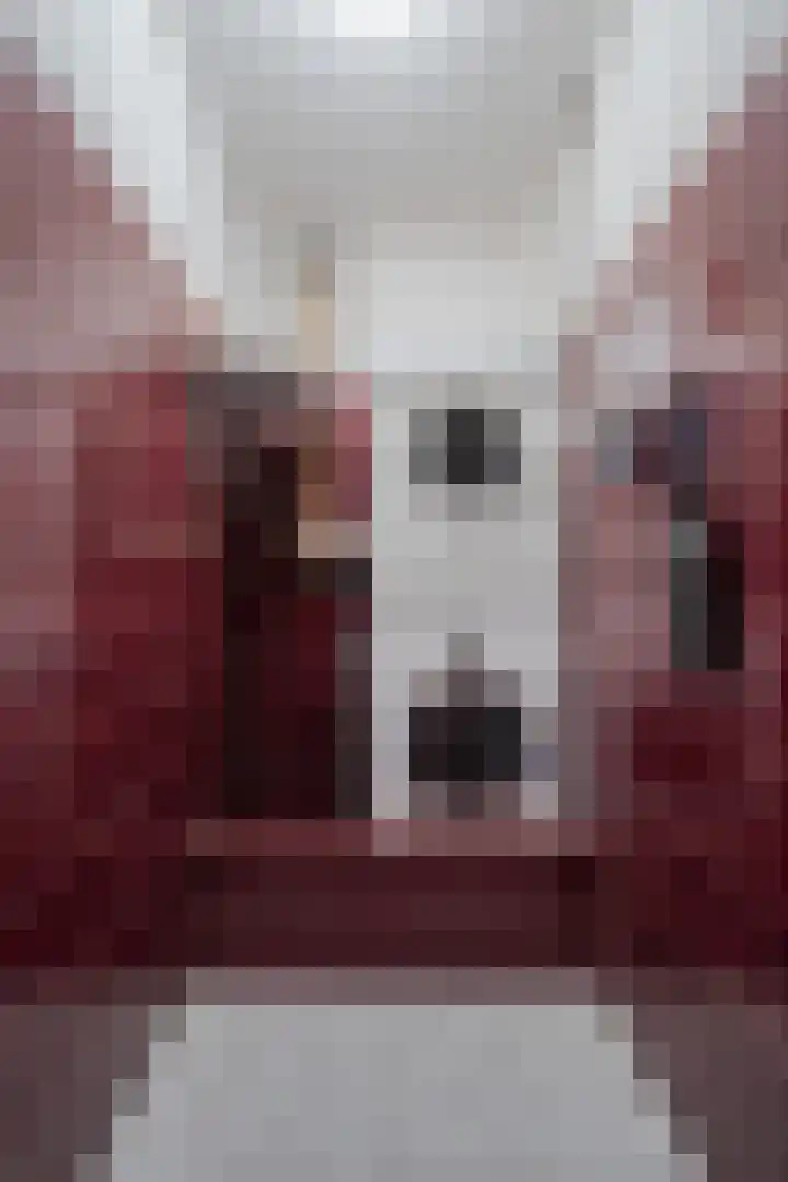 Kennedylaan 4 Oirschot thumbnail 18