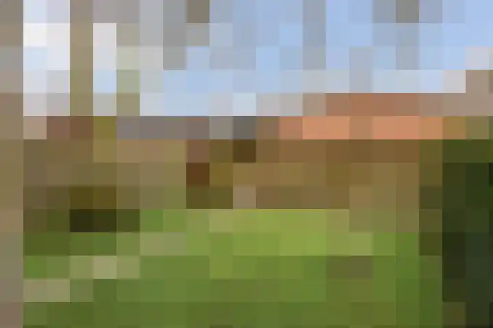 Kennedylaan 4 Oirschot thumbnail 27