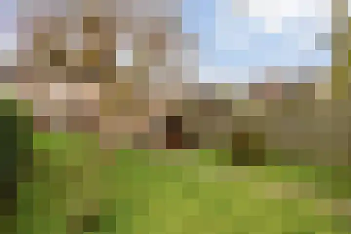 Kennedylaan 4 Oirschot thumbnail 28