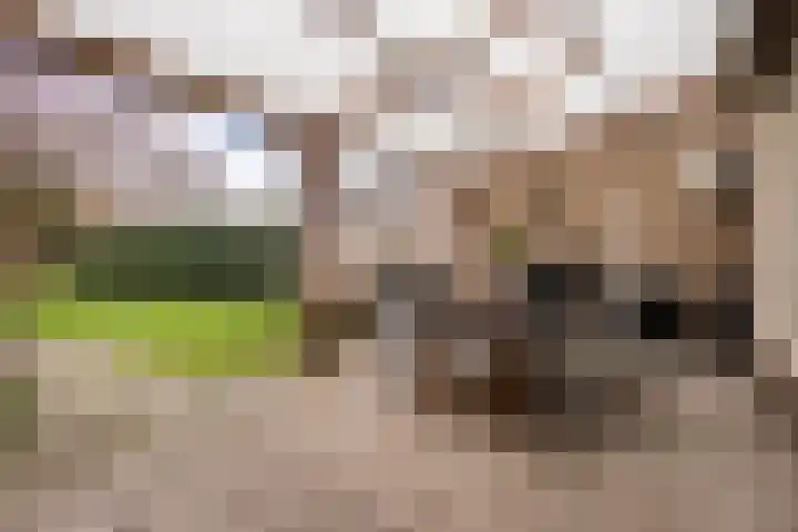 Kennedylaan 4 Oirschot thumbnail 30